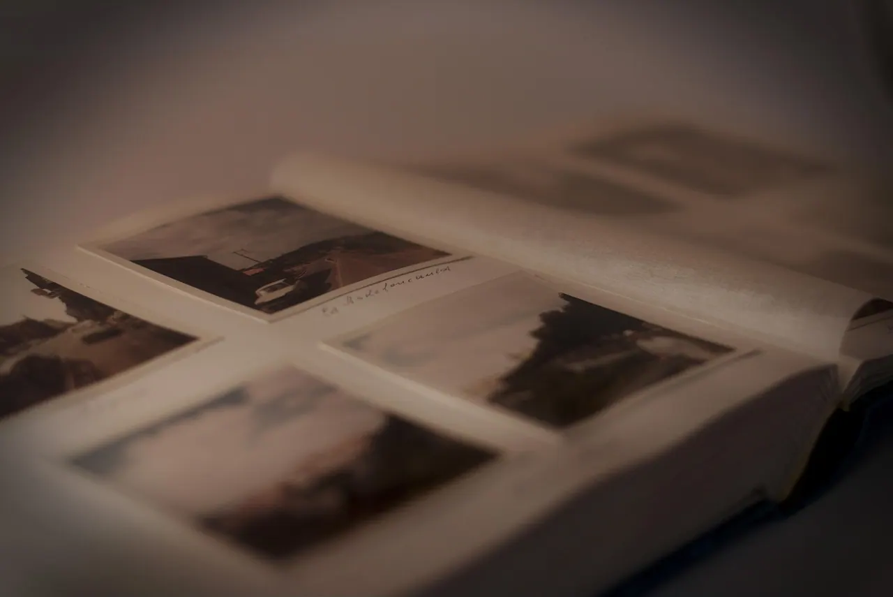 photo album, album, photo, historical, picture, pictures, past, at that time, formerly, old, antique, photo album, photo album, photo album, photo album, photo album, album