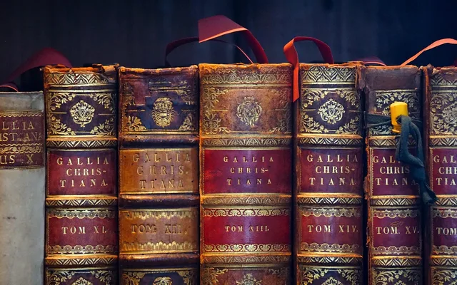 books, antique, a book, old book, close up, old, second hand, old books, read, antiquarian, literature, antiquariat, leather bindings, spine, historical, to learn, library, books, books, books, old books, old books, old books, old books, spine, library, library, library, library, library. Book lice in a document cupboard: what the insects tell you about damp