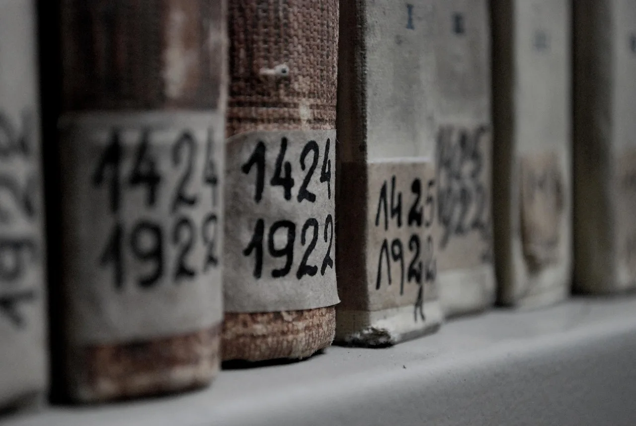 books, library, education, knowledge, book, archives, borrow, old, dust, archives, archives, archives, archives, archives. Bench setups compared for family archive work, from paper to textiles