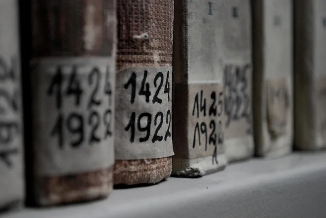 books, library, education, knowledge, book, archives, borrow, old, dust, archives, archives, archives, archives, archives. Bench setups compared for family archive work, from paper to textiles