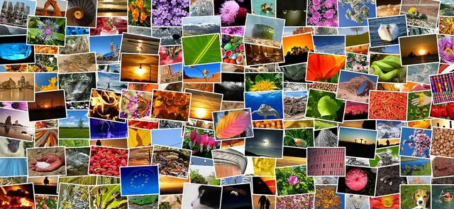 pictures, photos, photo collection, photo album, mosaic, collage, recordings, diversity, lots, multicoloured, mixture, picture album, taking photos, pixabay, photo mosaic, collage,