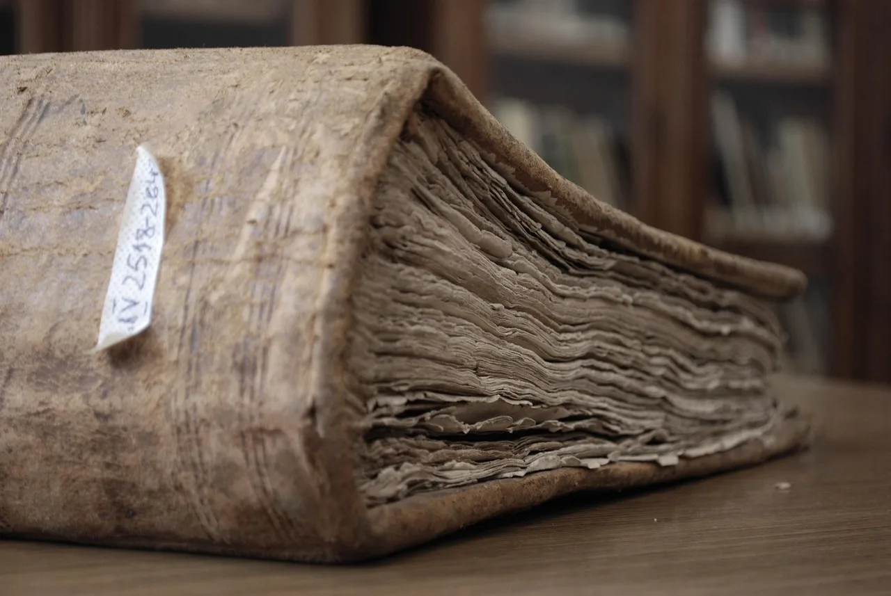 books, library, education, knowledge, book, archives, borrow, old, dust, library, archives, archives, archives, archives, archives. What CBSA and Canada Post charge when you order archival supplies from the US