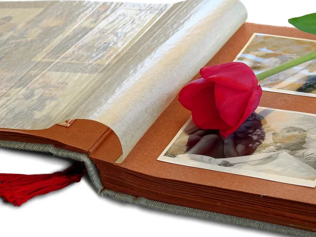 photo album, picture, pictures, at that time, old, analog, album, retro, photography, flower, tulip, blossom, bloom, plant, nostalgia, antique, past, memory, recall, family album, family, grandpa, granny, photo album, family album, family album, family album, family album, family album. How to organize a family collection: select first, then label, copy and record what exists