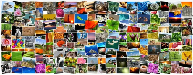 pictures, photos, photo collection, photo album, mosaic, collage, recordings, diversity, lots, multicoloured, mixture, picture album, taking photos, photo album, photo album, colla