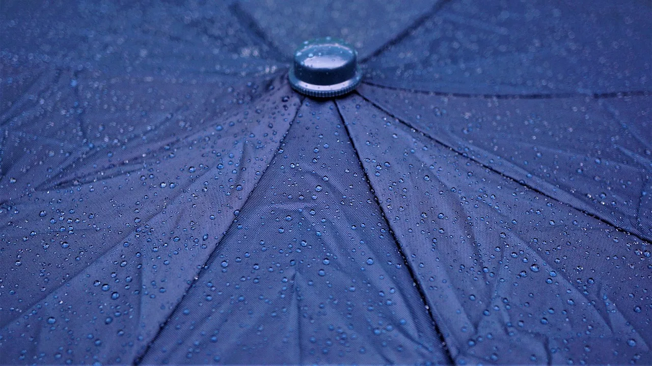 rain, umbrella, nature, raindrops, raining. Hurricane Photo Storage in Florida: A Pre-Season Prep Checklist