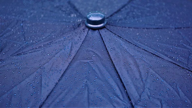 rain, umbrella, nature, raindrops, raining. Hurricane Photo Storage in Florida: A Pre-Season Prep Checklist
