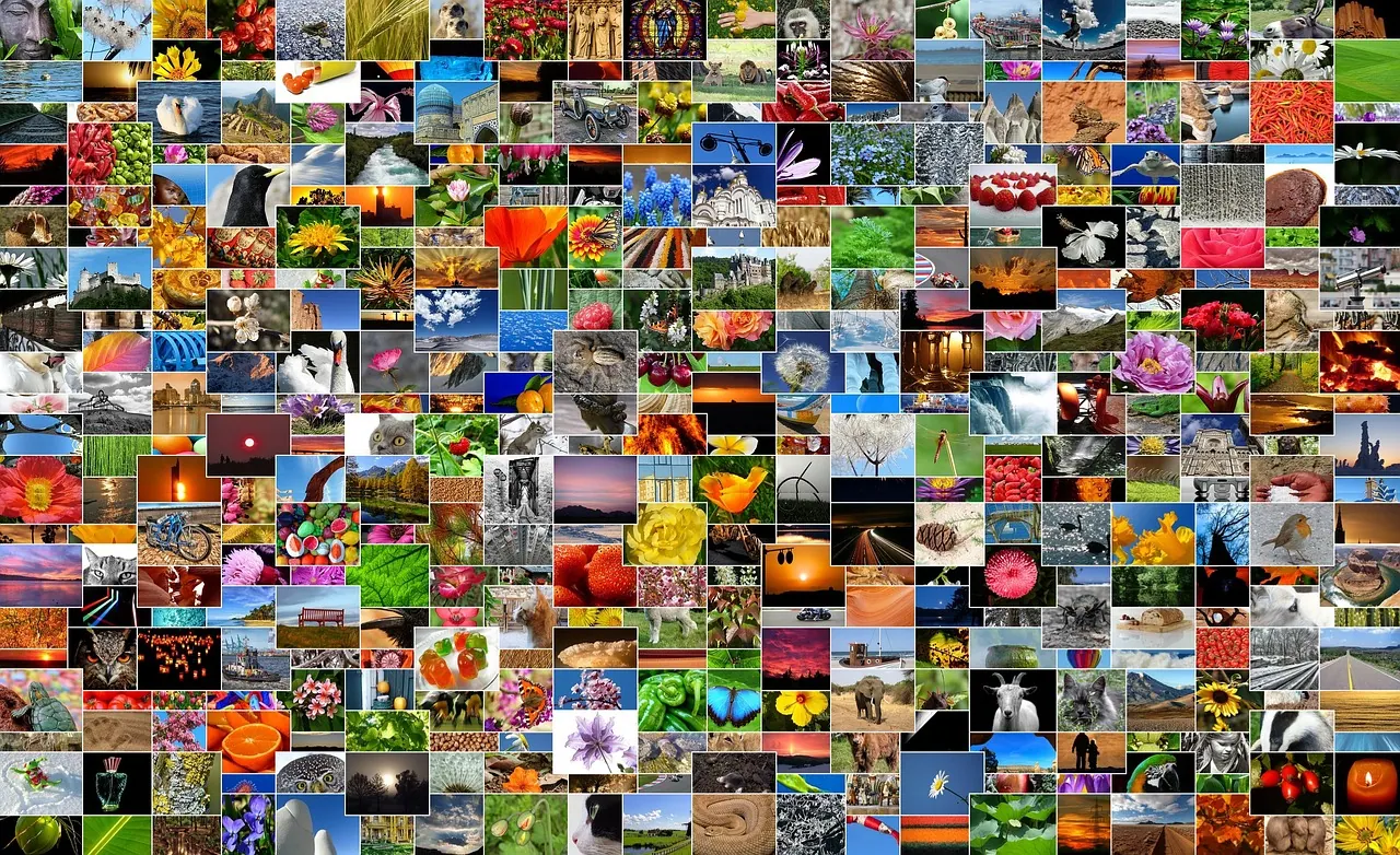 pictures, photos, photo collection, photo album, mosaic, collage, recordings, diversity, lots, multicoloured, mixture, picture album, taking photos, photo collection, photo album, 