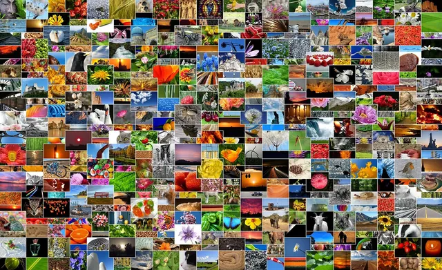 pictures, photos, photo collection, photo album, mosaic, collage, recordings, diversity, lots, multicoloured, mixture, picture album, taking photos, photo collection, photo album, 