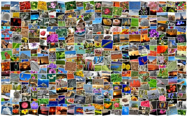 pictures, photos, photo collection, photo album, mosaic, collage, recordings, diversity, lots, multicoloured, mixture, picture album, taking photos, pixabay, photos, photo collecti