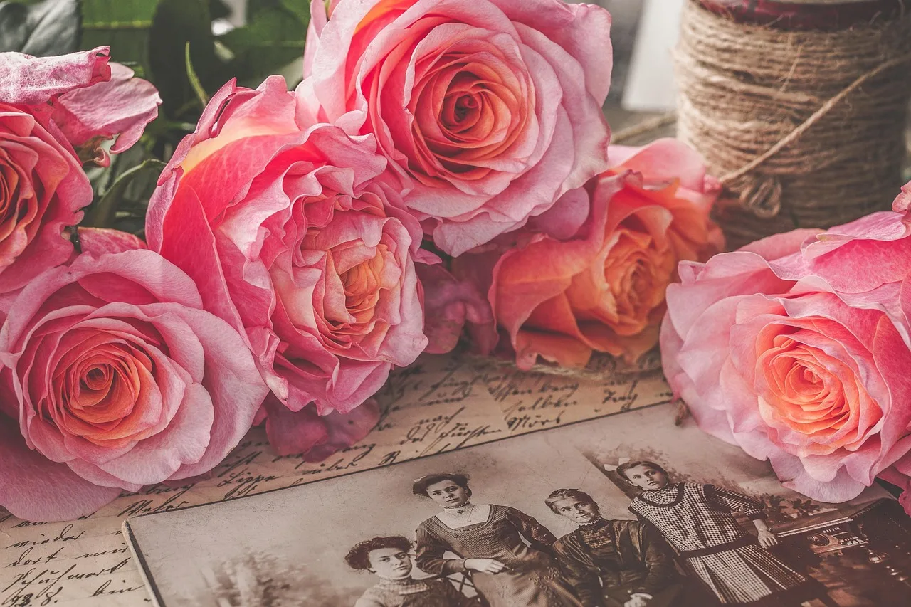 nostalgia, retro, vintage, roses, pink, contemporary witnesses, write, photos, style, charm, photography, back then, memories, review, family history, historical, past, family photos, vintage, family history, family history, family history, family history, family history. Displaying keepsakes without wearing them out