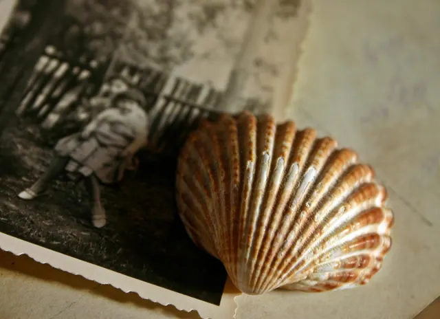 memory, photo, picture, recording, shell, souvenir, past, nostalgia, photography, antique, retro, nostalgic, generations, family album, black-and-white, pictures, girl, old photo, 