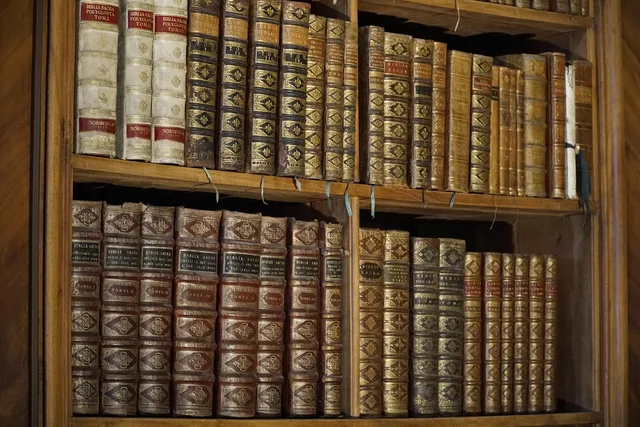bookshelf, library, old books, books, bookshelf, bookshelf, bookshelf, bookshelf, bookshelf, library, library, library, library, library, old books, old books, old books, old books, old books. Why do the same archive mistakes keep happening to careful people?