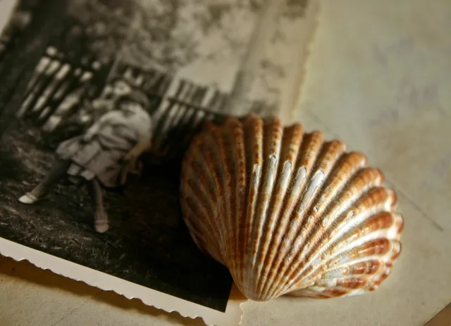 memory, photo, picture, recording, shell, souvenir, past, nostalgia, photography, antique, retro, nostalgic, generations, family album, black-and-white, pictures, girl, old photo, germany, memories, childhood, photo album, recall, old times, postcard, at that time. Digitizing a family collection costs more after the scanner than before it
