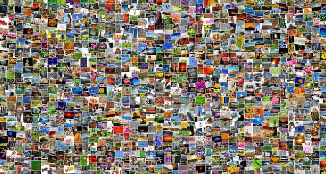 mosaic, pictures, photos, photo collection, photo album, collage, recordings, diversity, lots, multicoloured, mixture, picture album, taking photos, pixabay, mosaic, collage, colla