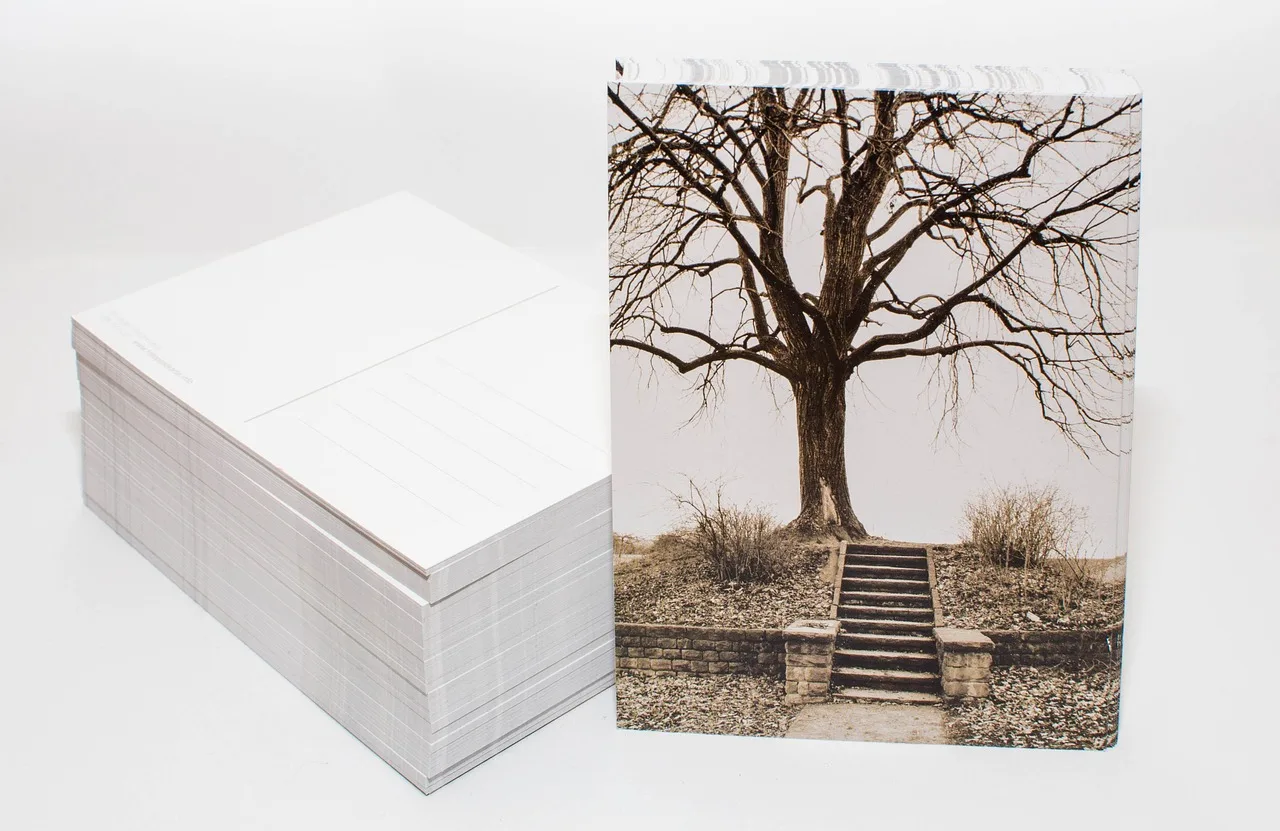 postcard, photo postcard, printed matter, photo, printing house, postcard, printed matter, printed matter, printed matter, printing house, printing house, printing house, printing house, printing house. What to buy first for a photo archive, paper or plastic, buffered or neutral