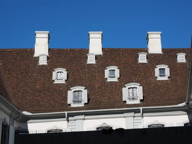 roof, chimney, window, skylight, state archive, basel. Archive risk starts with inspecting the building, not just the boxes